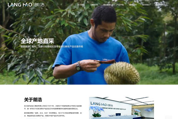 鮮通全球 品質(zhì)致遠｜成都億速科技定制化打造朗浩集團品牌官網(wǎng)